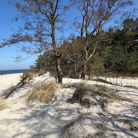 Baltic Sea Dora *